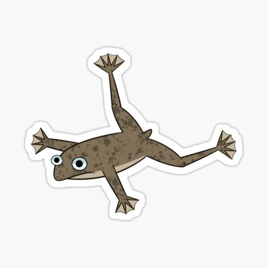 Discover African Dwarf Frog