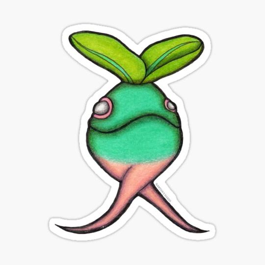 Discover Baby Green Succulent.