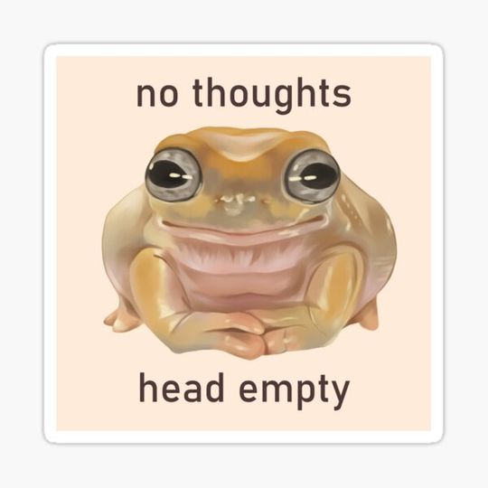 Discover No Thoughts, Head Empty Frog