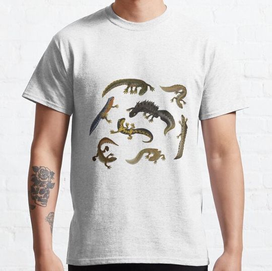 Discover Local dragons