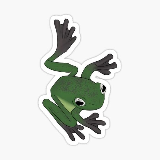 Discover Aromantic pride frog