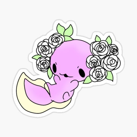 Discover Rose axolotl