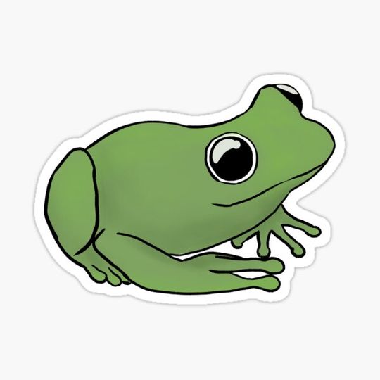 Discover Cute Baby Frog