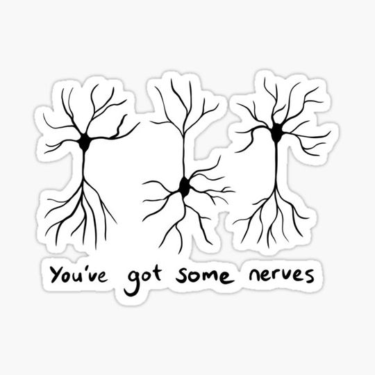 Discover You've Got Some Nerves - Neuroscience