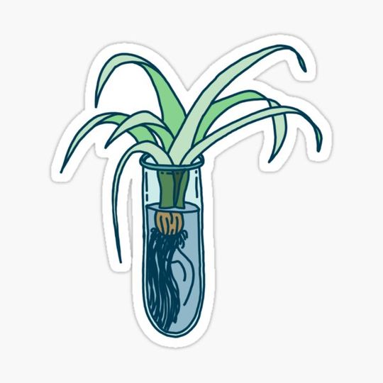 Discover Plant in Test Tube