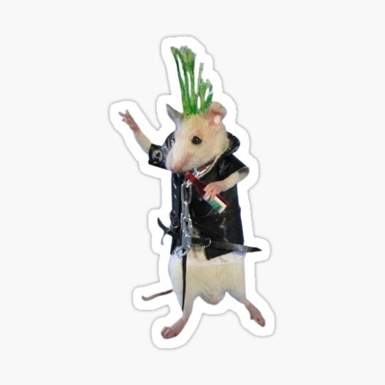 Discover punk rat