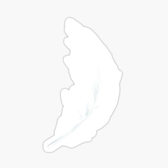 Discover Simple White Feather
