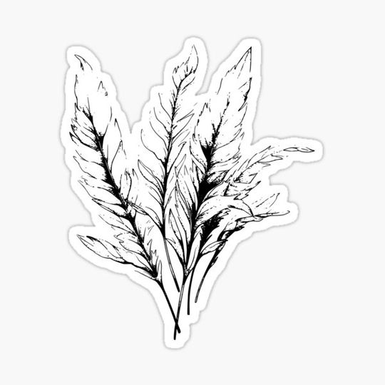 Discover Feathers