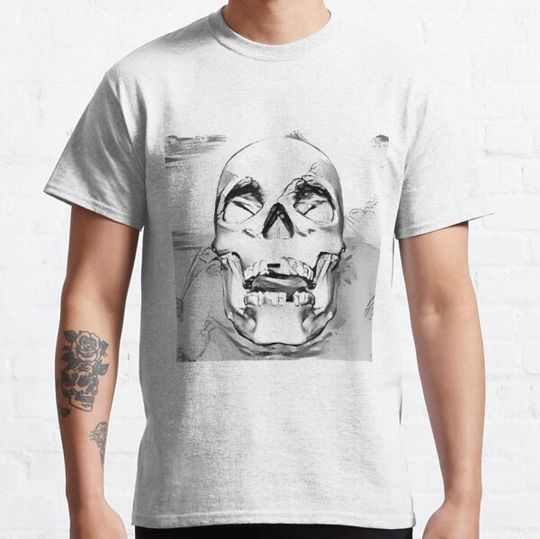 Discover The skull