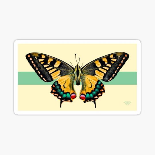 Discover Minty fresh summer by Haus of Butterfly