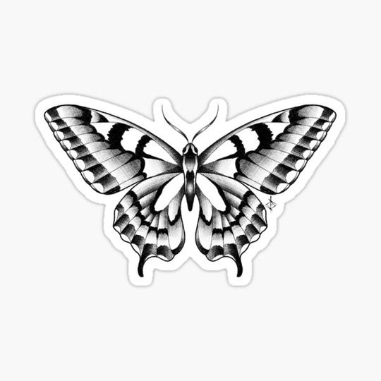 Discover Butterfly