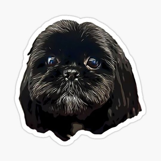 Discover Shih Tzu Black Puppy Dog Face