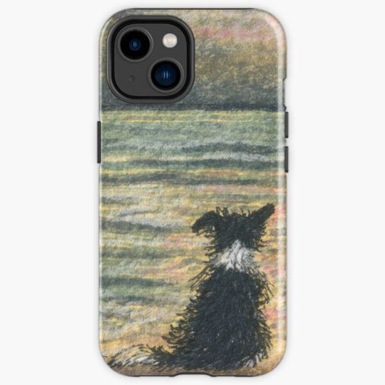 Discover A Border collie dog gazes out over the ocean watching the sun come up, greeting the morning