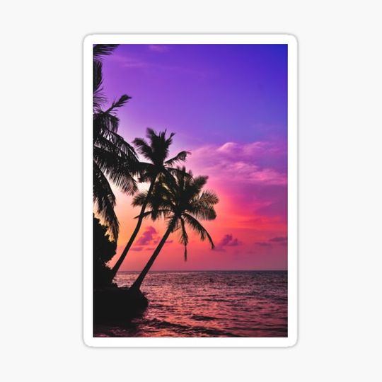 Discover Dreamy Sunset