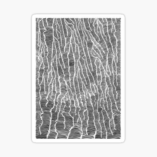 Discover Corals