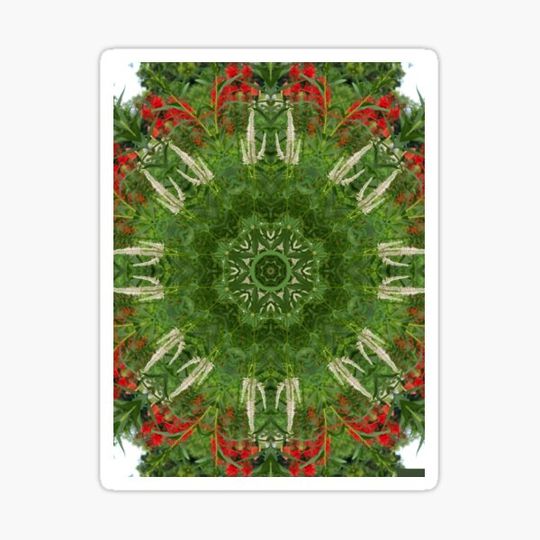 Discover Cardinal flower and Culver_s root kaleidoscope Graphic