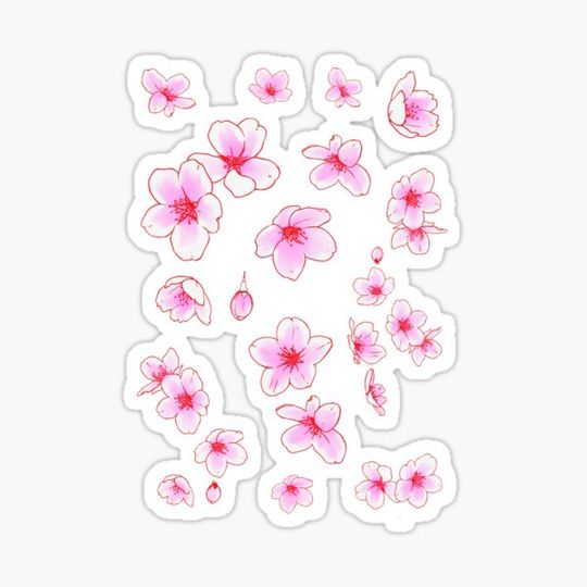 Discover Cherry flowers