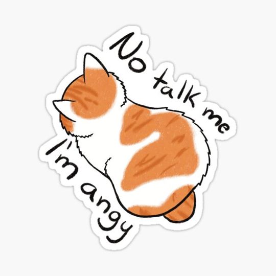 Discover No talk me