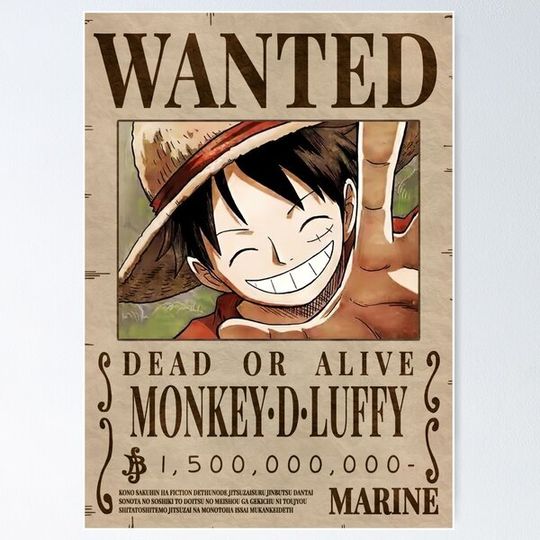 Discover Luffy Bounty Wanted One Piece