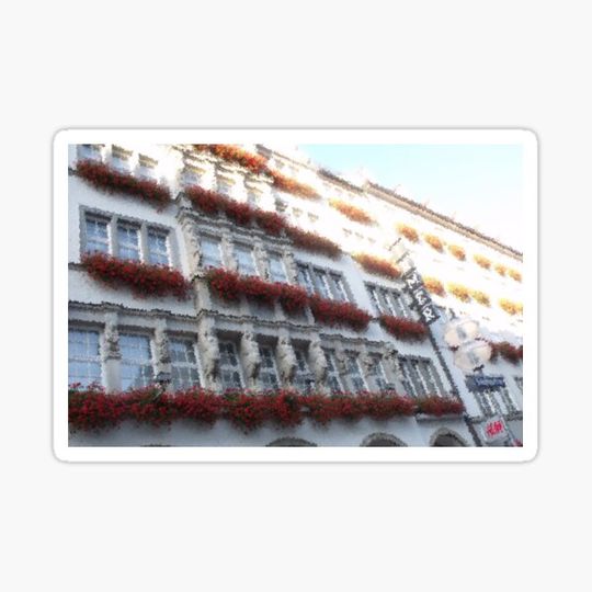 Discover Windows in Bloom