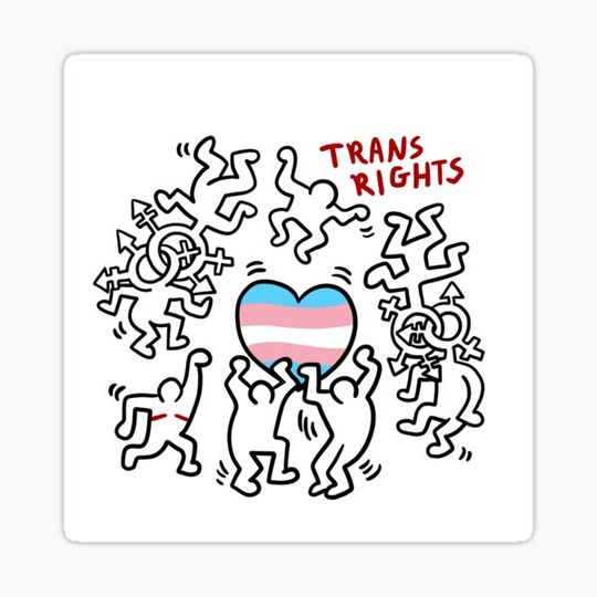 Discover Trans Rights!