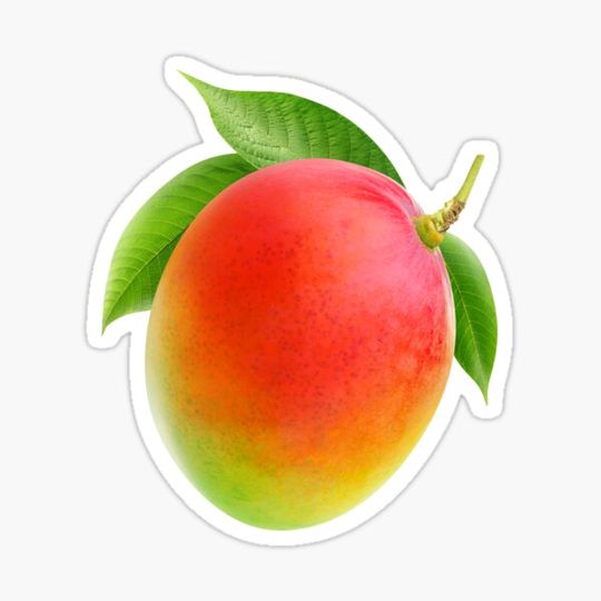 Discover Mango