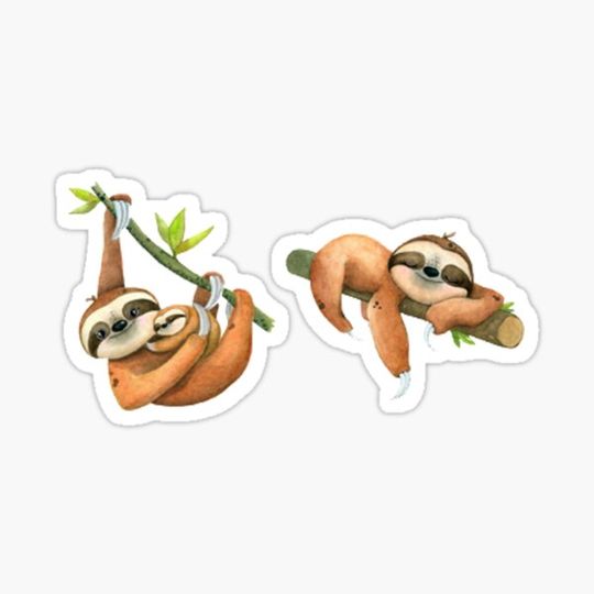 Discover sloths art
