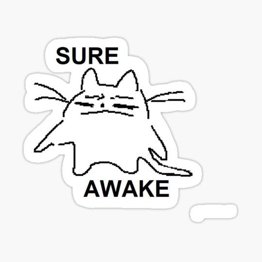 Discover Sure awake cat