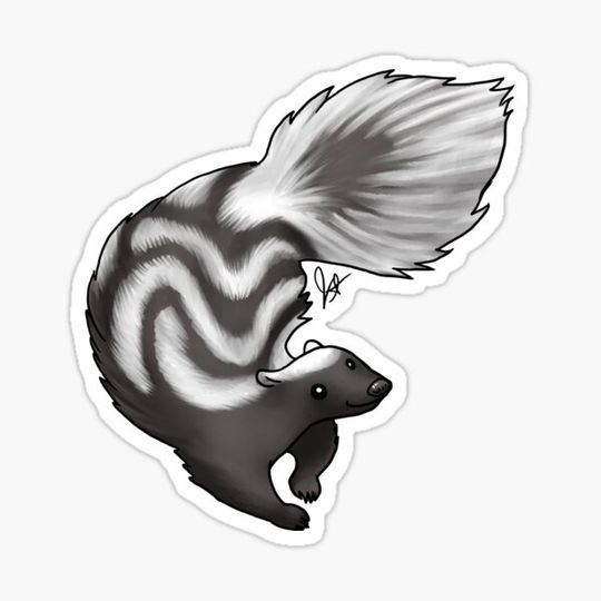 Discover Skunk - Black Swirl