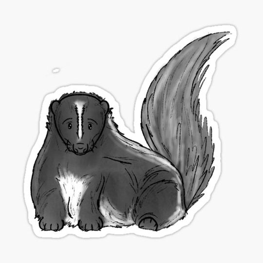 Discover skunk procreate illustration