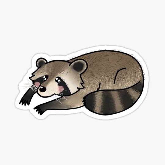 Discover Cute Trash Panda