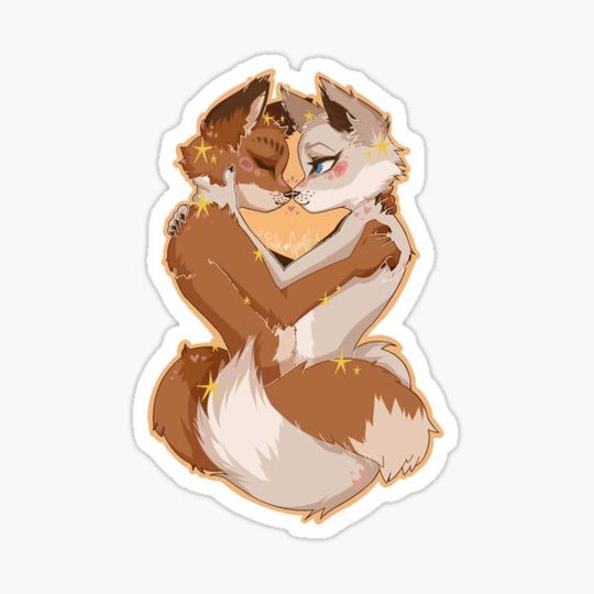 Discover cuddling foxes