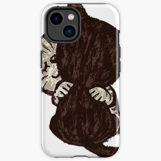 Discover Cat love