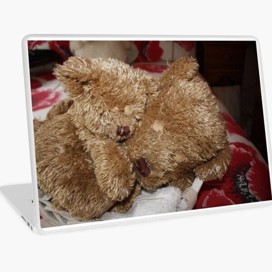 Discover Sleepytime Bears