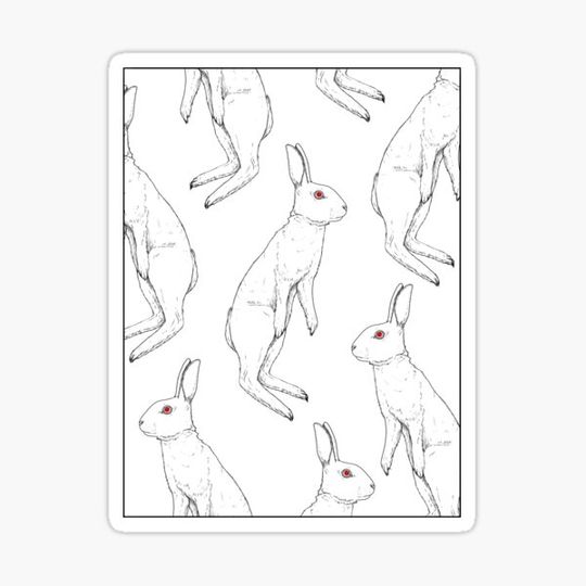 Discover Floating bunnies