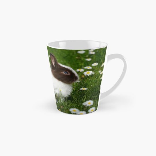 Discover White And Brown Rabbit