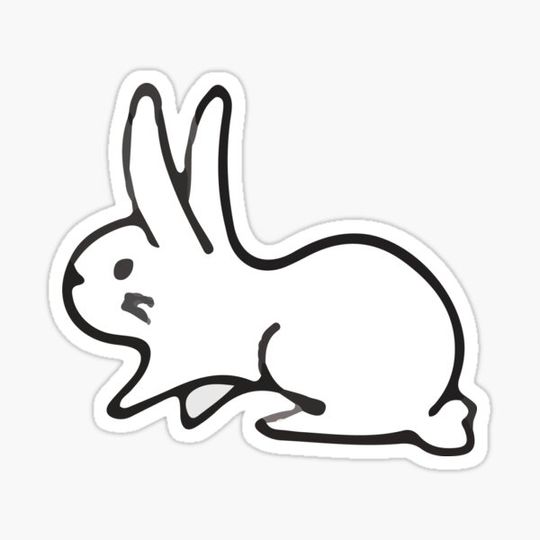 Discover Exploring Bunny