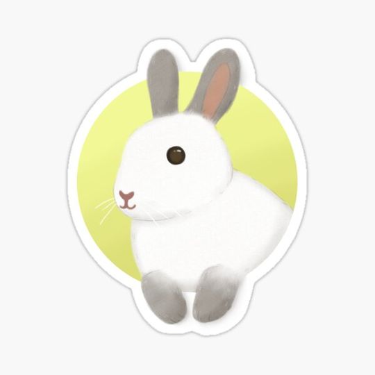 Discover Cute Bunny Illustration