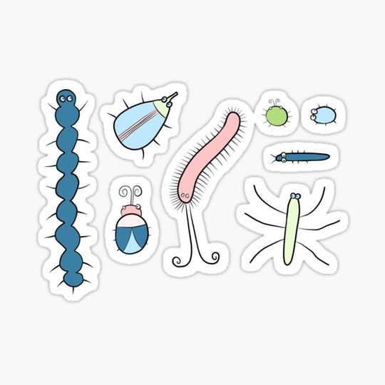 Cute Insects and Grumpy Flowers