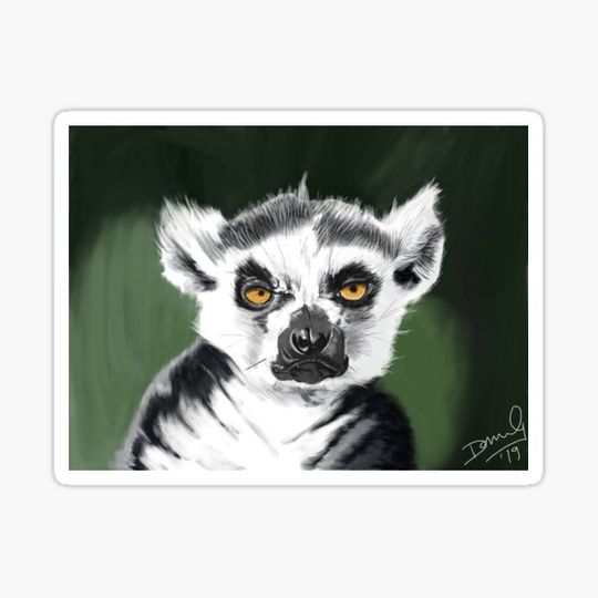 Discover Lemur Grump