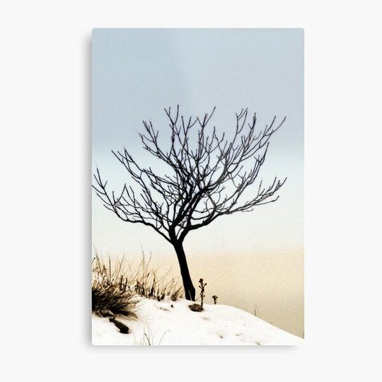 Discover Solitude