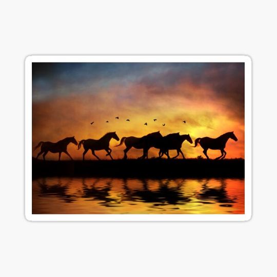 Discover Wild Horses in Sunset and Water