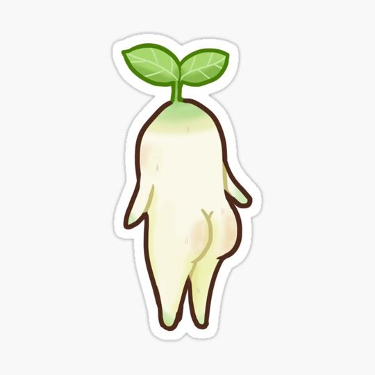Discover Daikon Radish: Bono