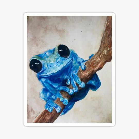 Discover blue frog on a branch