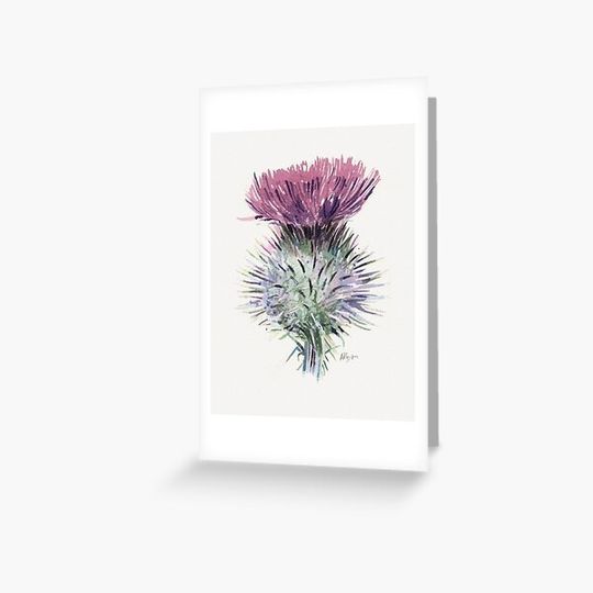 Discover Scottish Thistle
