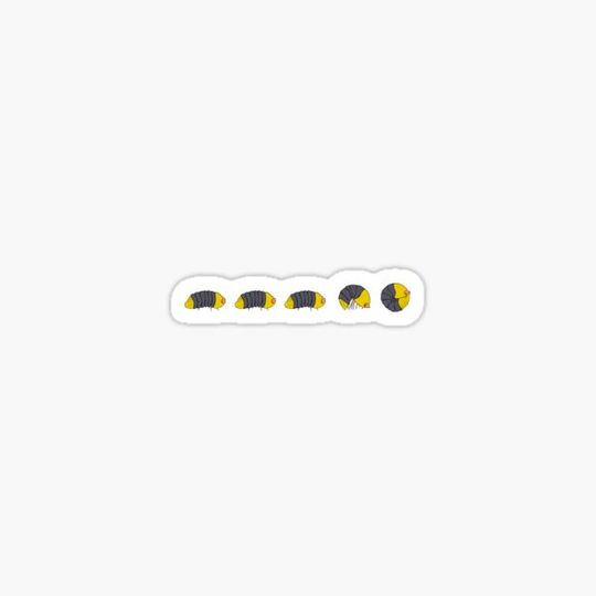 Discover Rollie Pollie - The Rubber Ducky