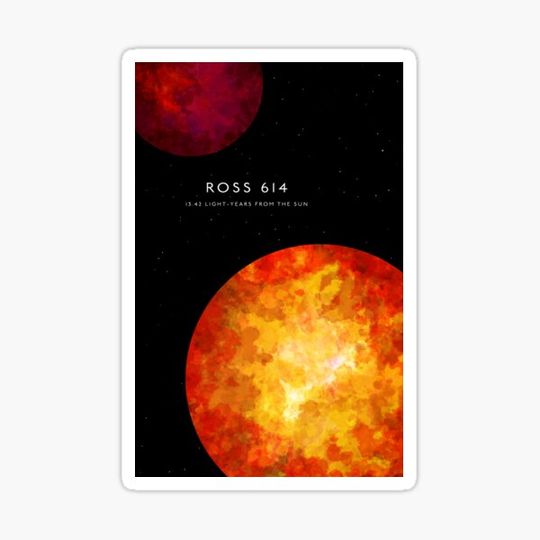 Discover Ross 614 Minimalist Poster Art Astronomy Art