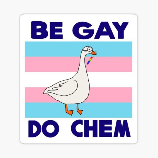 Discover Be Gay Do Chem - Trans Pride Flag