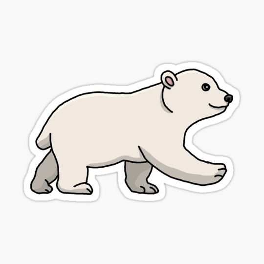Discover Bear, polar bear, cartoon, drawing, sweet