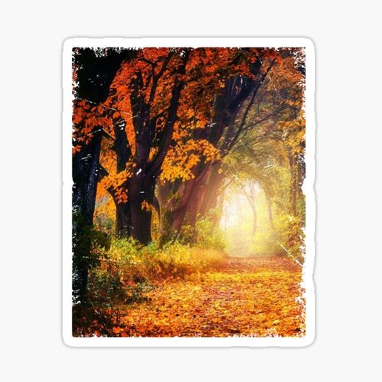 Discover Nature